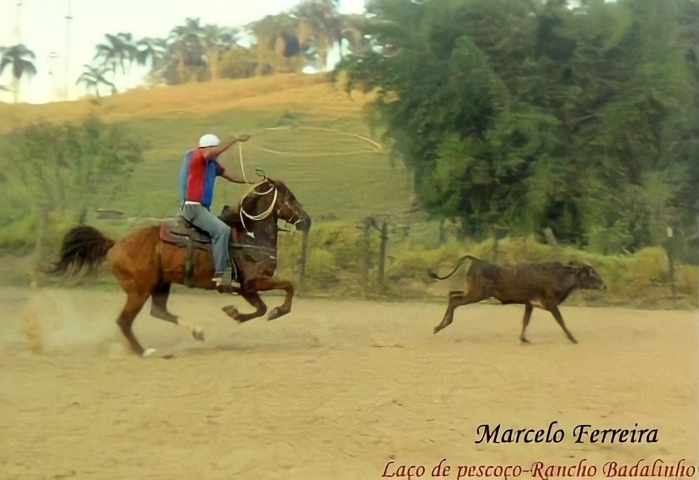 RANCHO BADALINHO