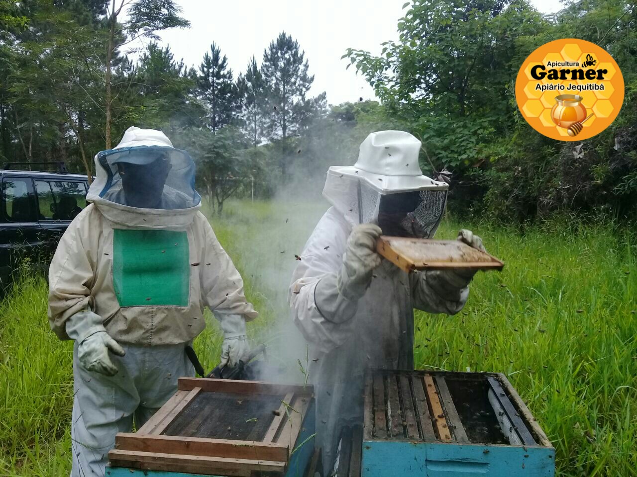 APICULTURA GARNER