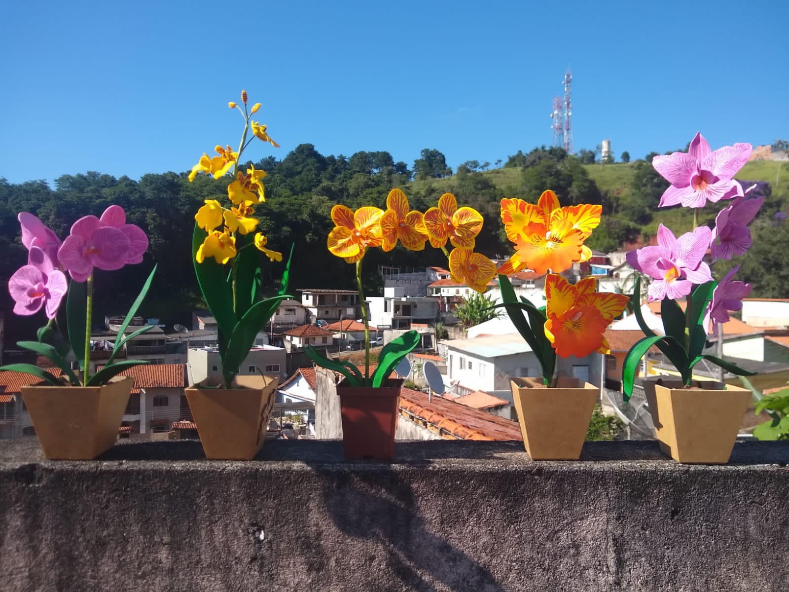 FLORES DA LUH