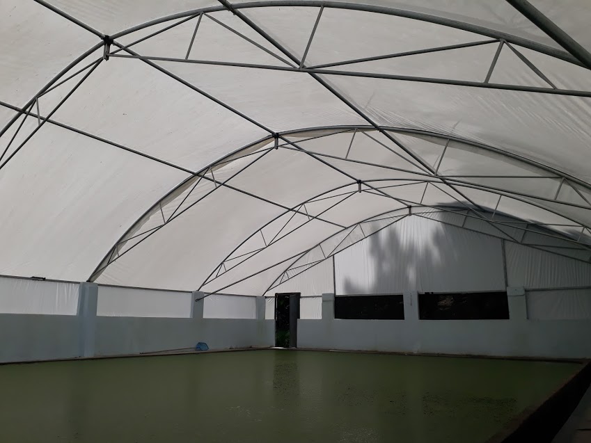 RANÁRIO SANTA CLARA