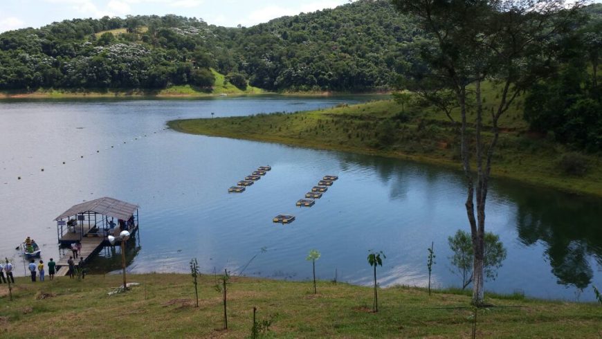 ASSOCIAÇÃO DOS PESCADORES AMADORES DE SANTA ISABEL – ÁFRICA NILO