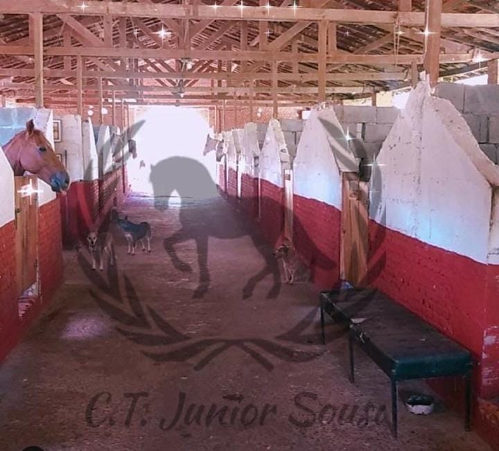 CENTRO DE TREINAMENTO JUNIOR SOUZA