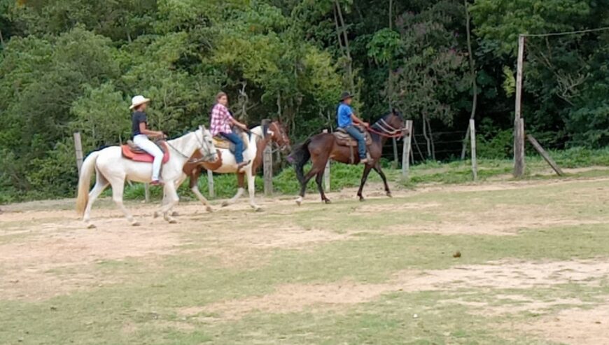 HÍPICA SANTA ISABEL – ZÉ DA HÍPICA