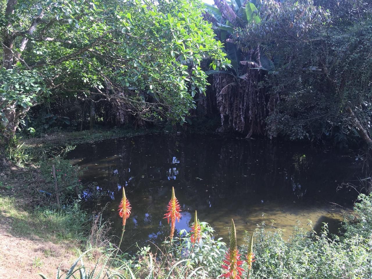 FAZENDA DA PROSPERIDADE