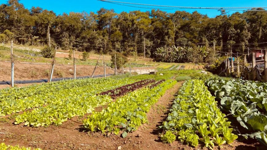 FAZENDA DA PROSPERIDADE