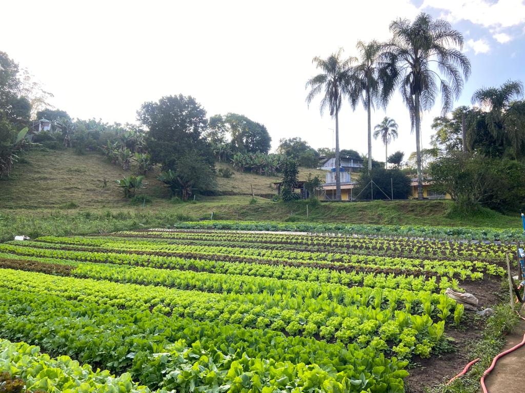 FAZENDA DA PROSPERIDADE