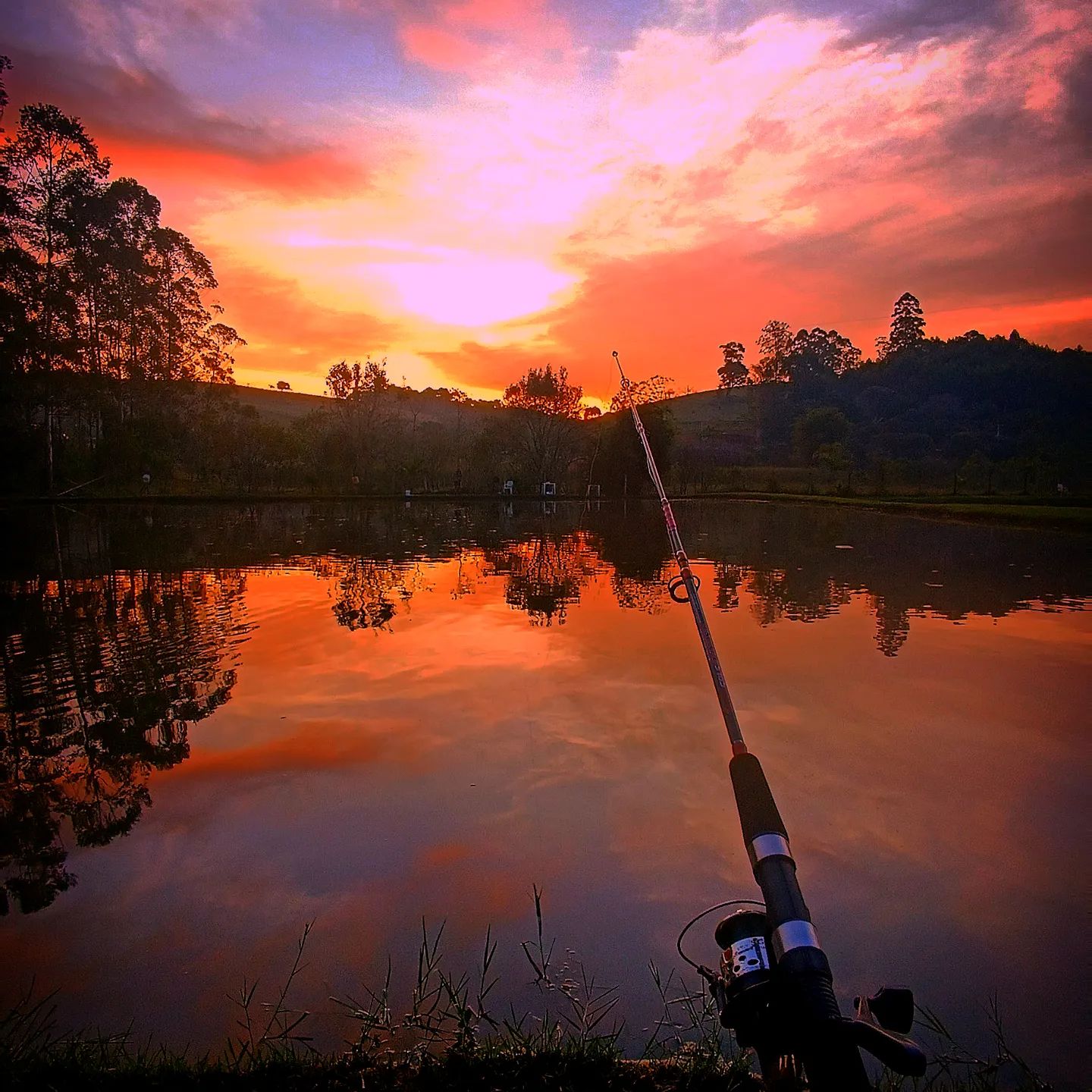 PESQUEIRO DIAMANTE NEGRO