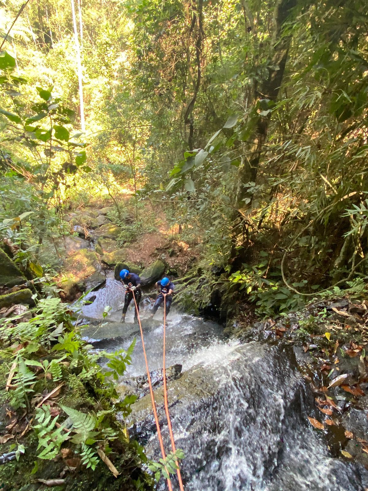 VENTURE VIDA EM AÇÃO