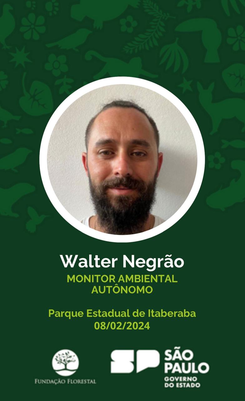 WALTER NEGRÃO