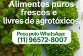 Natural Agro Orgânicos