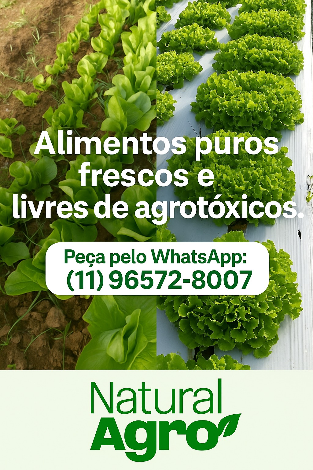 Natural Agro Orgânicos